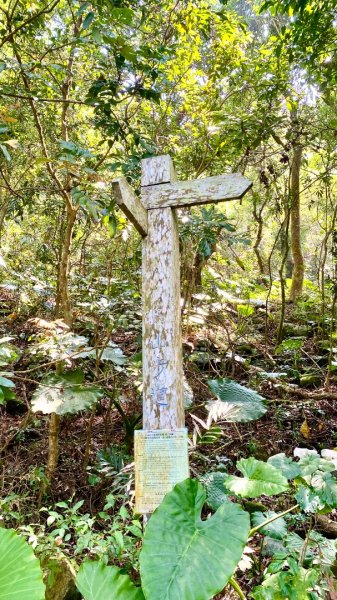 龍麟山登山步道2730745