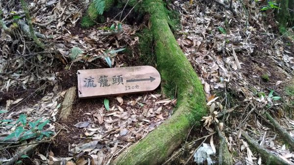 留龍頭嶺頭山284762