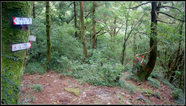 小觀音山群峰、大屯溪古道258585