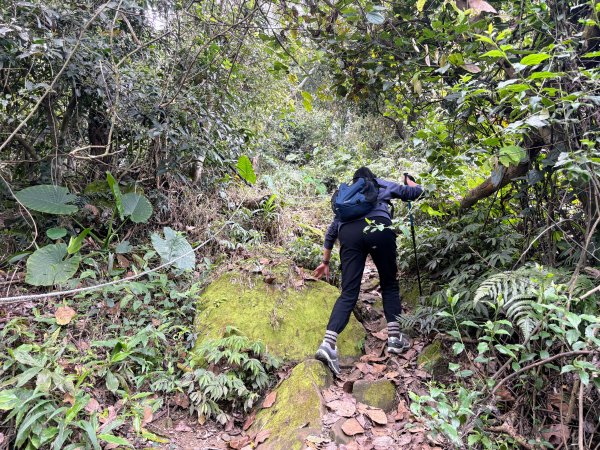 暗影山步道2753103