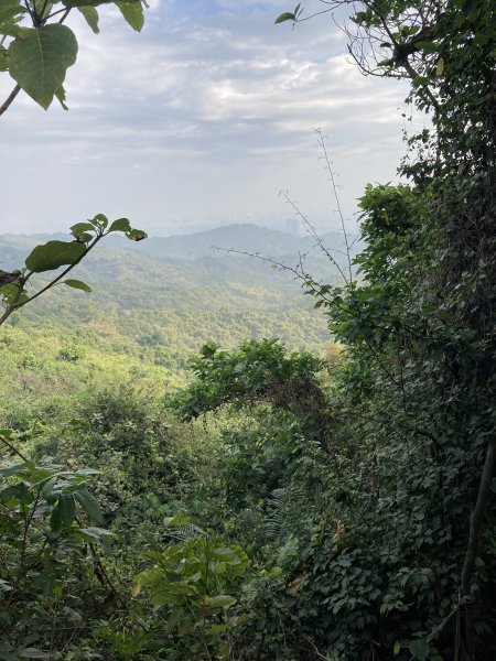 20260221高雄壽山+愛河灣3003354