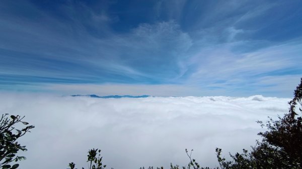 鳶嘴山美呆了~滿滿的雲海~1884285