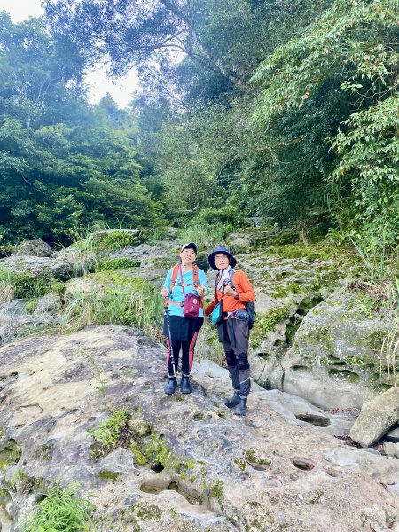 紅毛山、無名山、大斜壁、大坪山、大坪林道O型走  2022/8/231817859