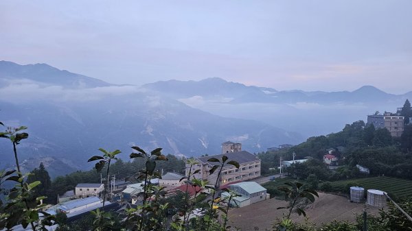 240714-石門山+合歡尖山+合歡東峰。美美兔凌晨3點出門來個合歡群峰半日遊。2567176