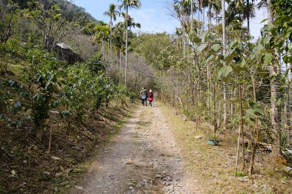 觀望山(德文山)2736168