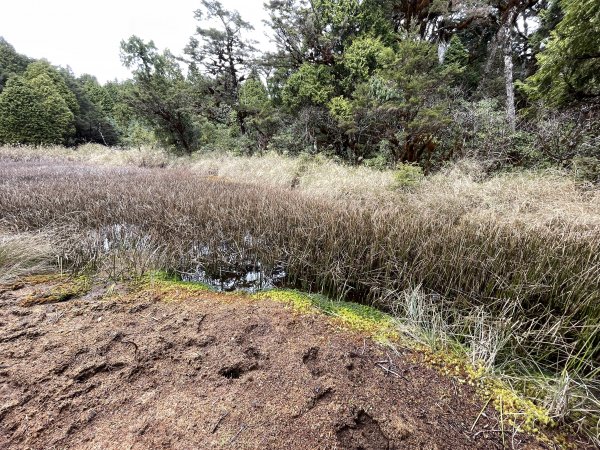 魔幻森林三星山與三星池1658320
