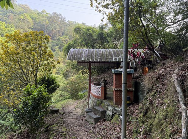 [微笑山線_第八段] 2026_0411 二格山系_西帽子岩3034946