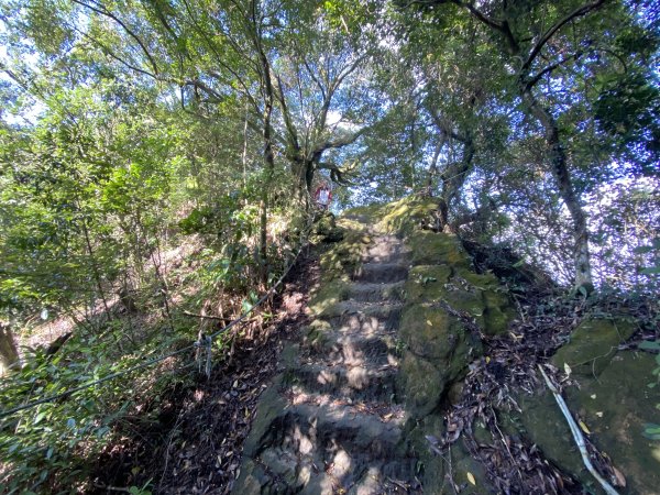 2025微笑山線大縱走尋寶集章任務-Ep.04【天上山系】望月亭桐花段｜石門內尖山東峰 ×石門內尖山2979095