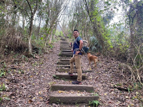 望鄉部落.獵人古道.望美山.瓊山【人與自然山林的恩怨情仇】2731419