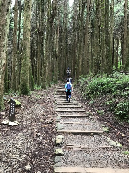 109年6月26日特富野古道1027230