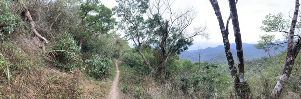 20250404屏東北獅子頭山-霧里乙山2757466