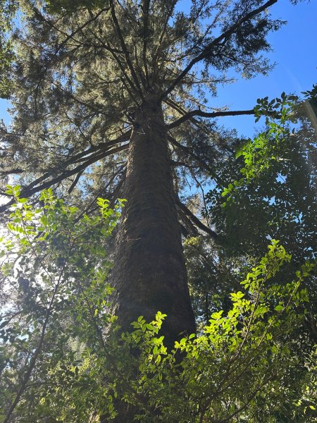 2025/03/01庫哈諾辛山2725290