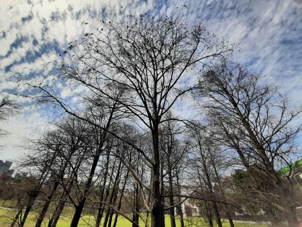 臺北大縱走4：大湖公園到白石湖1323439