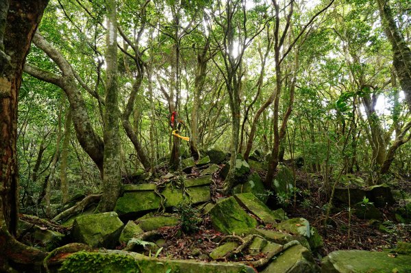新竹 尖石 大混山、牛欄坑山、李崠山3058559