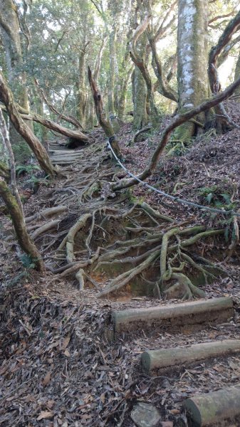 2020.03.08塔曼山872659