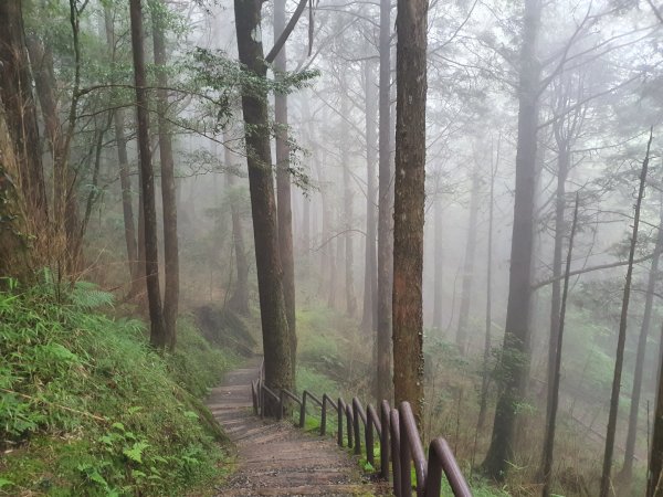 對高岳步道1053510