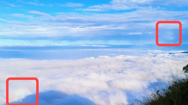 阿里山 #隙頂二延平 #頂石棹 #觀音圈 #雲海 #琉璃光 #雲瀑 #霧虹 11/172649878
