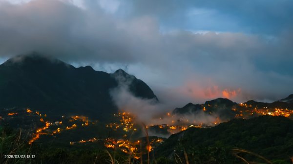 #樹梅坪 #琉璃光 出景首拍 3/32726282