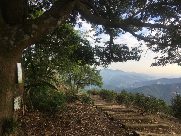 六寮崙山、雞罩山、白雞山8字走2371078