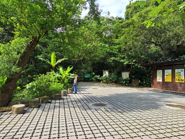 淡蘭南路第一段，第二段：捷運六張犁至烏塗溪步道3105039
