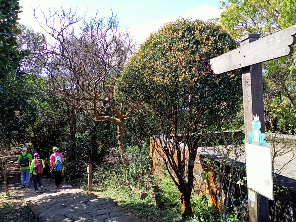 （2-2 大崙頭山→金面山）《暢遊翠山步道→小溪頭環狀步道→大崙頭尾山→論劍山→剪刀石山→金面山》1638548