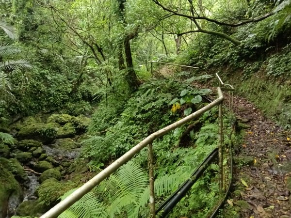 平溪區善覺寺古道(步道)去回2855363