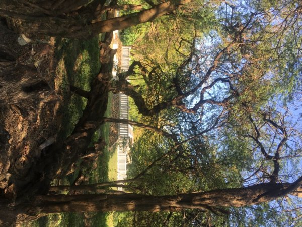 永康糖廠三崁店社遺址、迎曦湖、道爺湖、樹之谷、霞客湖2701608