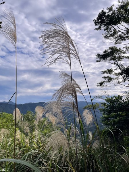 九芎根山-仁里板山2968840