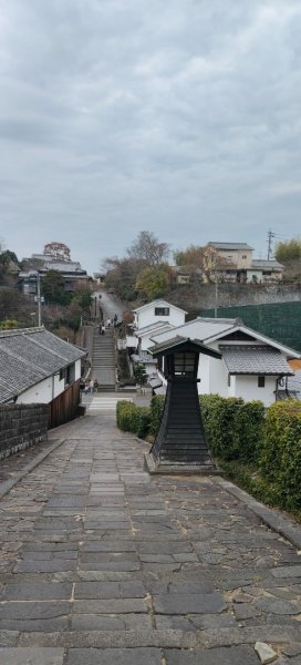 九州小京都（大分杵築城）2999785