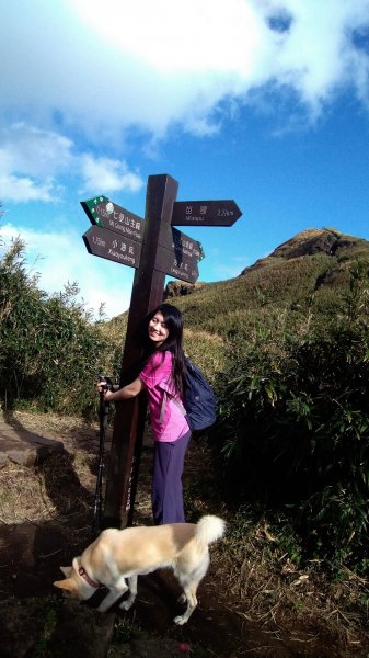 1081215陽明山主，東峰O型走走散步776227