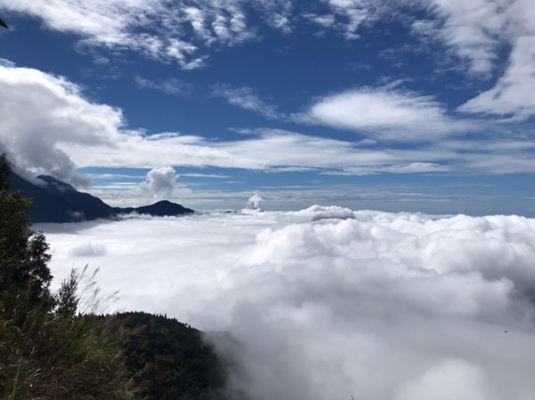 【山系野遊】 北大武山步道