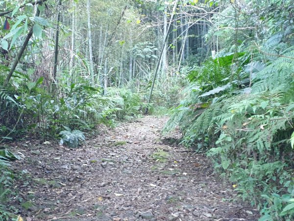 志繼山、東眼山、拉卡山1561235