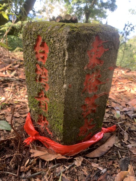 20250531屏東虻彈山東峰2803157