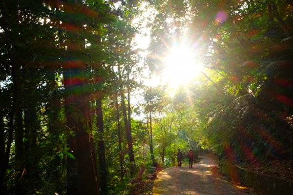 光影森林-那結山縱走貴妃山773722
