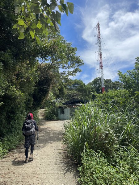 飛鳳山 大8三個山頭1722207