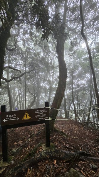 【這樣走波津加也行！】大雪山下波津加進谷關。3025901