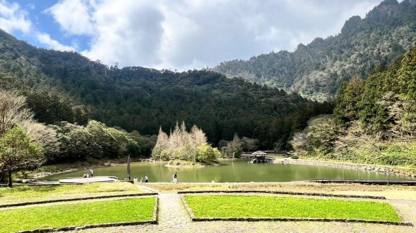 🌈228連假北橫賞櫻客製化四日遊Day2 FB：熊熊趴爬走🌈2724598