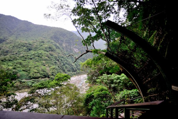 砂卡礑步道,小錐麓步道545631