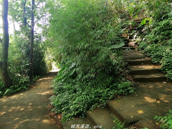 【基隆。仁愛】小百岳集起來。編號7小百岳~紅淡山步道1346373