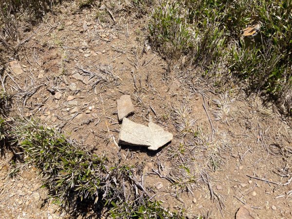 20250515-20250516 《登》合歡群峰3020170