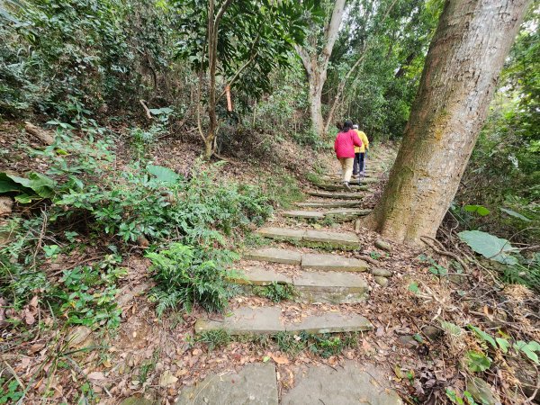 20250223田中大小劍與橫山2939820