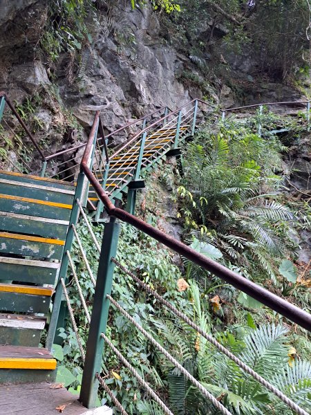 砂卡礑二日行D2：大同部落→千里眼山→砂卡礑步道→小錐麓步道→遊客中心202312032368739