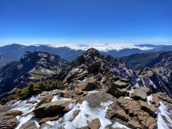 玉山主峰 四月雪 東埔山 杜鵑綻放1663027