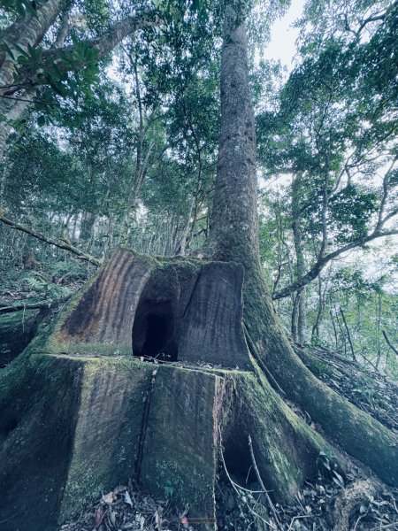 小百岳石壁山三峰縱走2680700