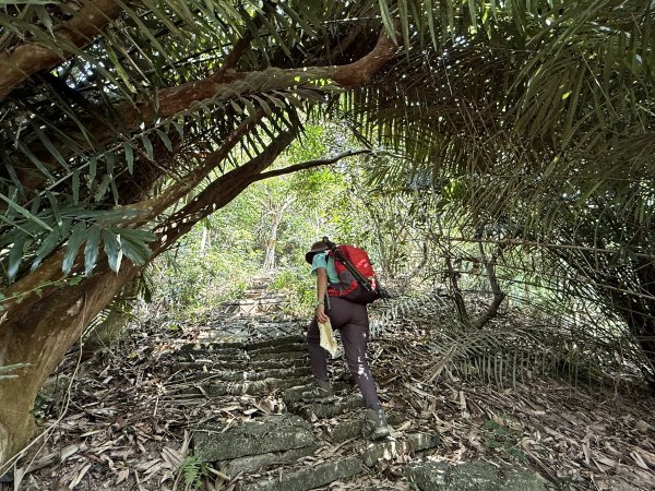 烏山縱走半程 (雲山寺~刣牛湖山) 來回 202504272773719
