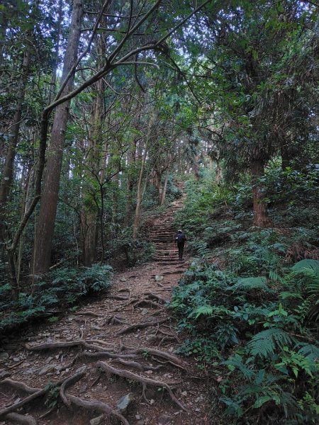 長壽山、肥崠山、醜崠山、大崠山、大崠山經建版2931517