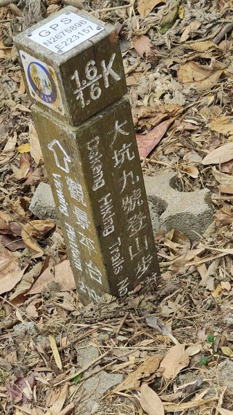 大坑9上9-1下3031321