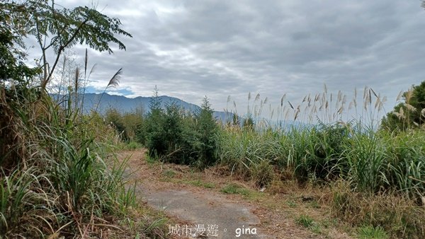 【苗栗泰安】水雲三星最終回。 橫龍山x橫龍山北峰x騰龍山(有極佳的展望)2061830