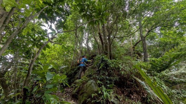 114.06.14雙石縱走&石門水庫-石牛山之旅2812286