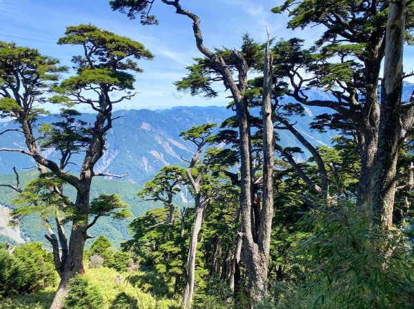 【庫哈諾辛山】高雄南橫三星單攻百岳，每日限額100人，來回7小時完成1828831